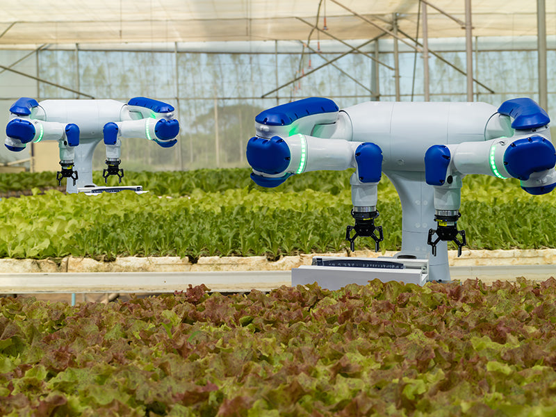 5 ways Agro-Bots may Replace Farmers - Progressive Automations ...