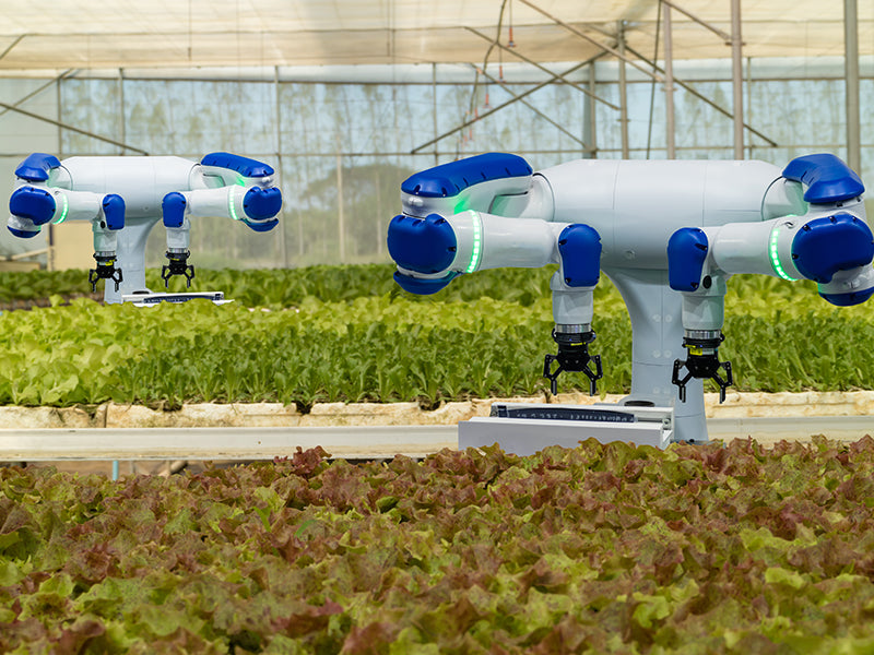 5 ways Agricultural Robots may Replace Farmers