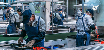 Comment les postes de travail ergonomiques profitent aux chaînes de conditionnement et d'assemblage