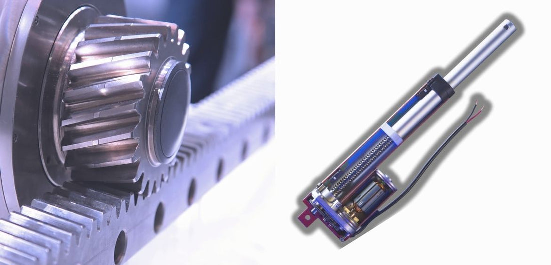 The Four Basic Types Of Motion