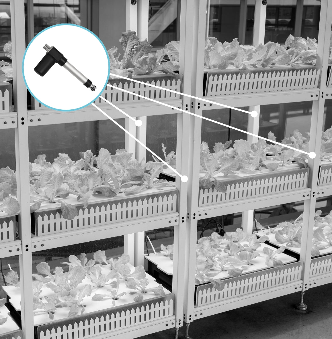 AgTech and Automation